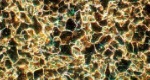 Microstructure with ferritic grains (Reflected/DF)